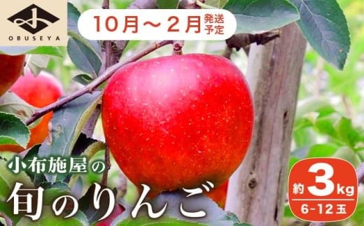 y쌧z{z 쌧Y G߂̏{̂ 3kg 6`12ʁmz{n  ь S  ʕ t[c ߘa7NY y2025N10`2026N2z mH-72n