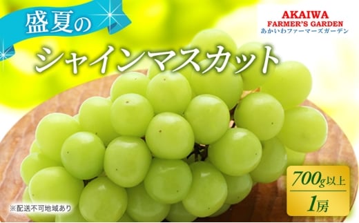 yRԔ֎szԂǂ 2026N s\ VC}XJbg 700gȏ 1[   R Ԕ֎sY t[c ʕ t@[}[YK[f ʕ