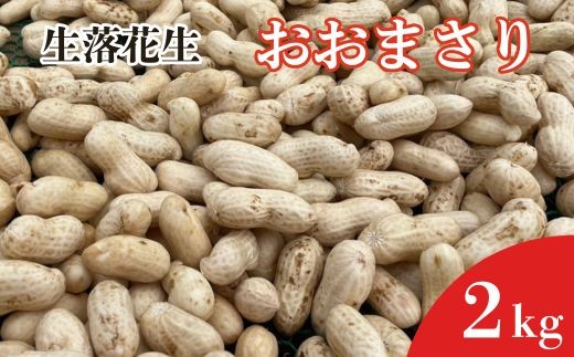 先行予約》生落花生 おおまさり 2kg ／ 落花生 らっかせい ラッカセイ