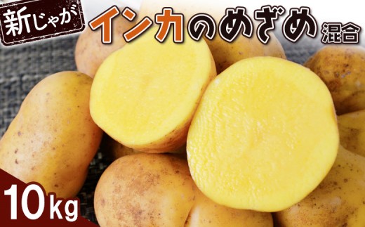 新じゃが インカのめざめ サイズ混合 10kg 芋 いも お芋 おいも