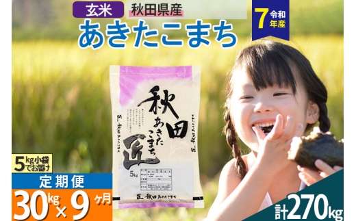 玄米】＜令和7年産＞ 《定期便9ヶ月》秋田県産 あきたこまち 30kg (5kg
