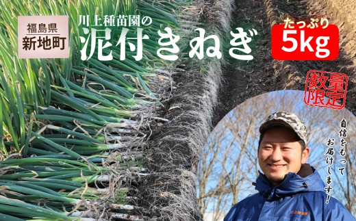 泥付き長ネギ 約5kg 1箱 | 訳あり 野菜 やさい 食品 人気 おすすめ