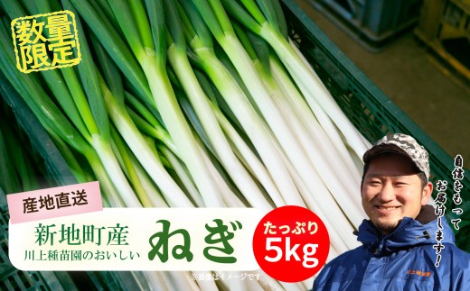 長ネギ 約5kg 1箱 | 訳あり 野菜 やさい 食品 人気 おすすめ 送料無料
