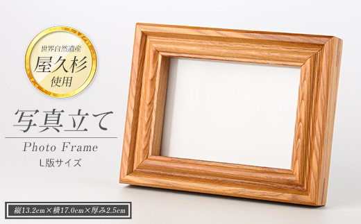 sd1_8a87f77e258a3eff6c7f37d69d