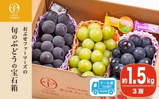 ぶどう 3種詰合せ 旬のぶどうの宝石箱 約1.5kg 3房 ［おぶせ