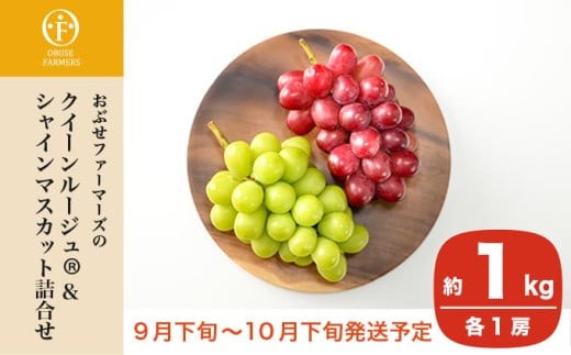 クイーンルージュ_ ＆シャインマスカット 詰合せ 各1房 約1kg ［おぶせ