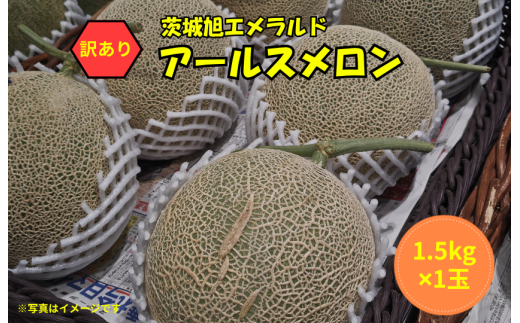 y錧gcszy󂠂zA[X 1ʁi1.5kgj鈮Gh