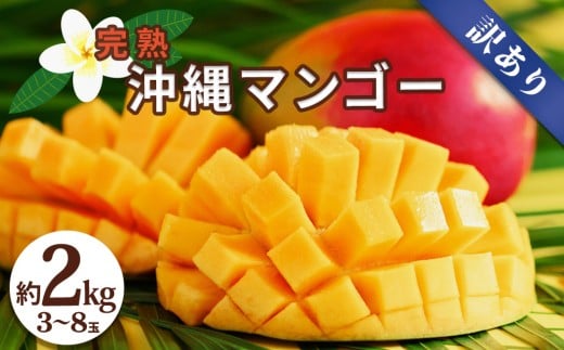 yꌧ܎szꌧY 󂠂}S[ 2kgy s\ 2026N z}S[ Z Â W[V[ 썑 t[c ʕ Yn 󂠂 Y   ܎s