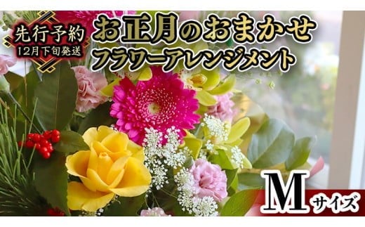 y錧}szy    z  ܂  t[ AWg M    N t[AWg Mtg [CT052ci]