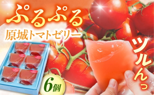 y茧쓇szy2026N5`zg}g[[ 6 / [[ [ fU[g Ƃ܂  / 쓇s / {ٕ [SFV007]