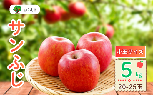 y쌧юRszys\zTӂ  5kg (20?25ʁji2025N12{甭j Tӂ     D] (7-A42-2)