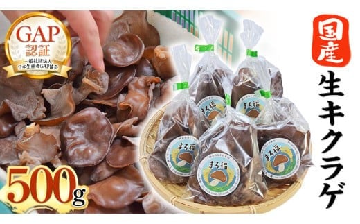 y錧}szy t@[唨 z LNQ 500g 炰 Y Y炰 GAPK  ₳ H@ r^~D S JE JVE XNuGbO J[  [AK006ci]