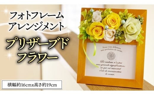 y錧}sztHgt[AWgvU[uht[ [CT036ci]