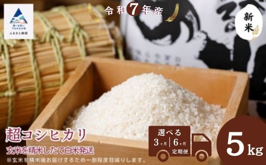 【石川県小松市】【定期便】超コシヒカリ 選べる3ヵ月 / 6ヵ月  玄米5s精米したて白米発送 石川県 小松市 【のむら農産】