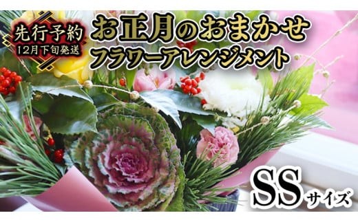 y錧}szy    z  ܂  t[ AWg SS    N t[AWg Mtg [CT107ci]