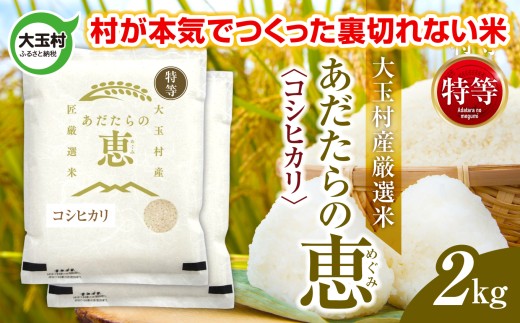 【福島県大玉村】米 大玉村産厳選米「あだたらの恵」特等(品種:コシヒカリ) 2kg 《 令和7年産  》| 福島 大玉村 お米 米作り こしひかり 令和7年 精米 白米 こめ コメ ご飯 送料無料 大玉
