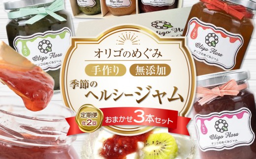 【山口県周南市】<年2回 定期便>季節のヘルシージャム3本セット 【おまかせ3本セット・150gx3本(合計450g)】× 2回