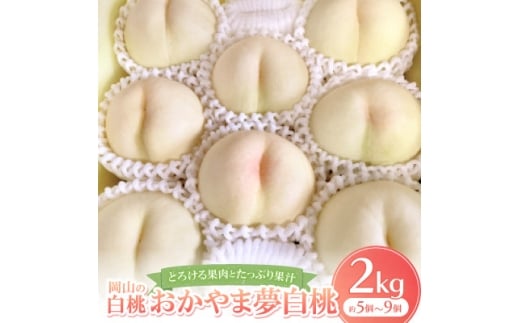 【岡山県美作市】<先行予約・2026年8月上旬より発送予定>岡山の白桃・おかやま夢白桃(2kg箱)【1294298】