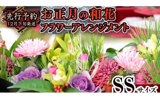 y錧}szy    z a  t[ AWg SS    N t[AWg Mtg [CT107ci]