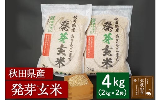 yHckHcszߘa7NY 茺āi2kg×2܁j  r^~ JVE Mo ~l H@