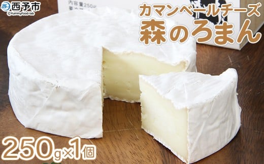 【愛媛県西予市】ほわいとファームのカマンベールチーズ「森のろまん」