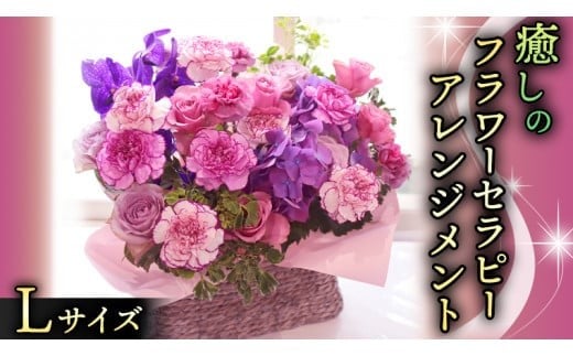 y錧}sz  t[ Zs[ AWg LTCY   ͂ AW bNX tbV XgX [CT126ci]