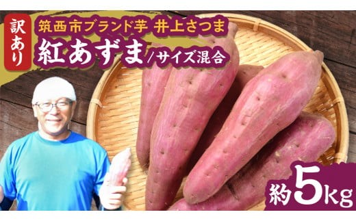 y錧}szy 悵̂ z󂠂 コ u g v TCY 5kg ( yȂ ) n ܂   Ă   ܂؂悵 [DX017ci]