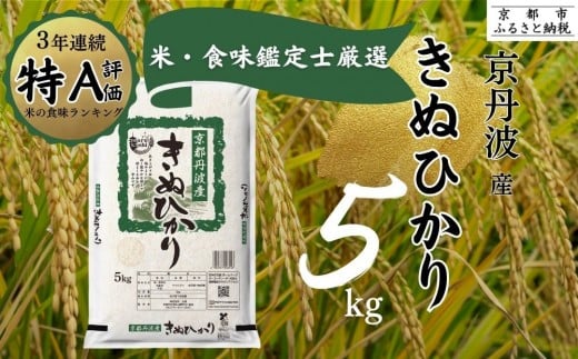 【京都府京都市】令和7年産 新米 京都丹波産 きぬひかり 5kg ※米食味鑑定士厳選 ※精米したてをお届け【京都伏見のお米問屋が精米】米 令和7年産 ※沖縄本島・離島への配送不可 ※2025年11