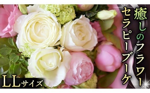 y錧}sz  t[ Zs[ u[P LLTCY   ͂ bNX tbV XgX [CT117ci]