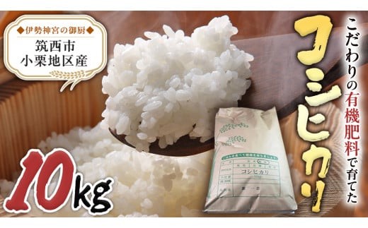 y錧}sz錧 }s InY RVqJ 10kg ( 10kg × 1 ) ߘa7NY L@엿 _   R  Ђ 錧 V  [EF002ci]