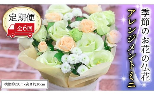 y錧}szG߂̂Ԃ̕ԃAWg~j6 AWg    [CT028ci]