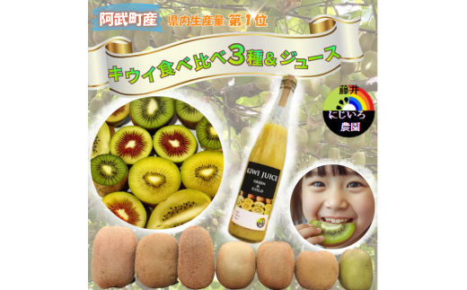 【山口県阿武町】【 先行予約 】 キウイ フルーツ 食べ比べ アソート 3種 約1.4kg & キウイ ジュース 500ml ( 果汁 70% ) セット 阿武町産 キウイ トリプル ジュースセット フルーツ 果物 詰め