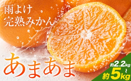 y߉͓zJ悯n݂u܂܁vIׂe 2.2kg 4.4kg 5kgs12{-1{t ߉͓ ݂ ~J  k  ϔ t[c ʕ 