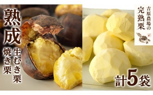 y錧}szy g_  nI z n ނI 3 E ĂI 2 Zbg ߘa7NY n I  N I͂  Mtg ʕ t[c ʌ { H ~   [CX009ci]