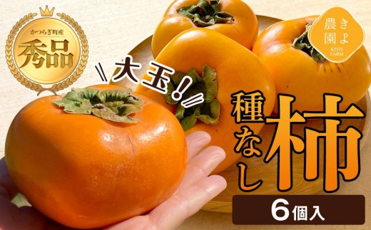 ya̎R쒬z`(햳) 6 Giʁm2026N9蔭nmKT1n