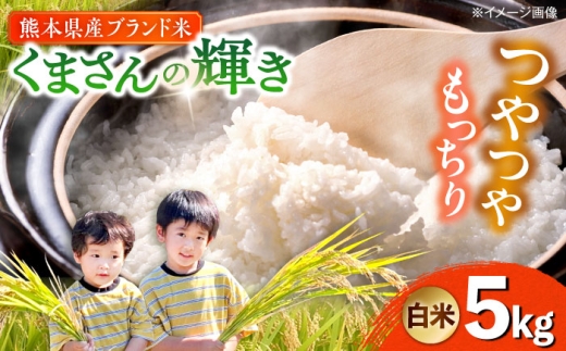 yF{uszyߘa7Nxz ܂̋P  5kg (1) yTKC{iҕăNujz [AYDI001]