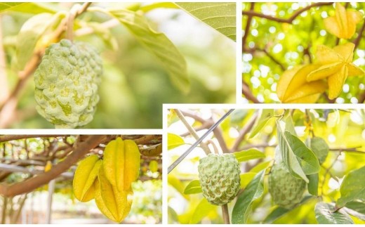 yꌧ{Ószy2026N2@kC3{z{ÓY@썑t[cZbgiAe2AX^[t[c1jCV08