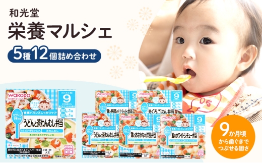 yRza h{}VF 512 l i9`j WAKODO xr[t[h gg H qǂ q  Ƒ y