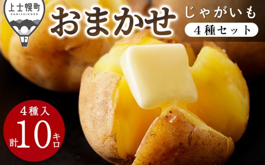 ykCmyzkCY ܂ Ⴊ 4Zbg v10kgi2.5kg×4j kC my _  WKC n鏒 Yn 2025N12z m010-V72n IC\Ή