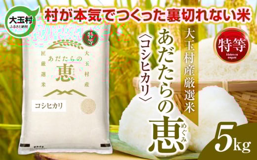 yʑz ʑYIāǔbviiFRVqJj 5kg s ߘa7NY  tb  ʑ  č Ђ ߘa7N    R   