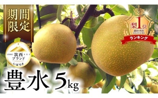 y錧}szLO1ʊl!!y JA k z }uh Fؕi L 5kg 2026NY s\  ʕ t[c Ȃ iV L  fU[g  [AE010ci]