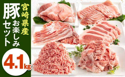 y{茧{szy2026N1z{茧Y؂y݃Zbg v4.1kg_M241-002-jan