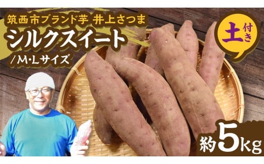 y錧}szy 悵̂ zコ u VNXB[g v MELTCY 5kg ( yt ) n ܂   Ă   ܂؂悵 [DX014ci]