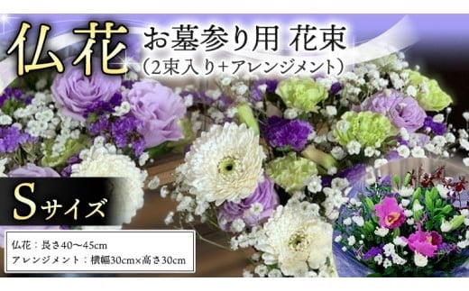 y錧}sz Zbg S i  ×2 E AWg j  t[    O Q    [CT101ci]