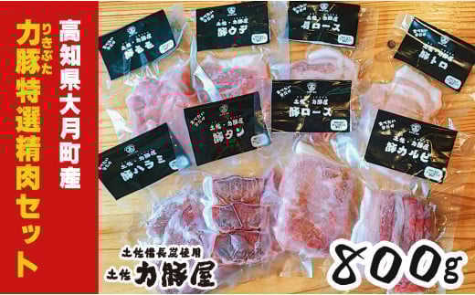 【高知県大月町】国産 豚肉 力豚(りきぶた)特選精肉セット 8種×100g 小分け | 使いやすい 勝手抜群 ブランド豚 食べ比べ 詰め合わせ 焼肉 贈答 ギフト お取り寄せ 冷凍保存 簡単調理 ご当地