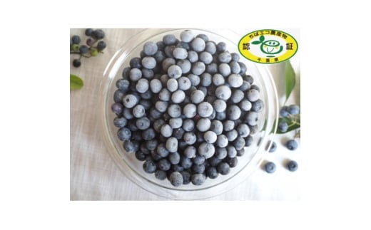 ytŎRz͔|Ԓ_sgp嗱Ⓚu[x[ 1kgu肵v t ŎRYy1350533z