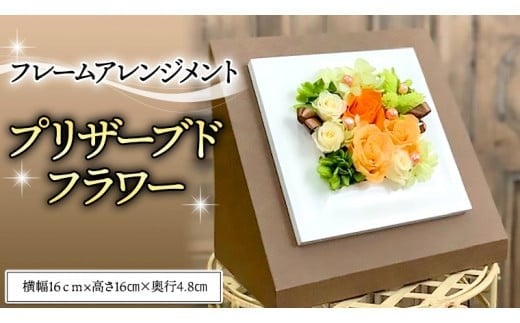 y錧}szt[AWgvU[uht[ [CT034ci]