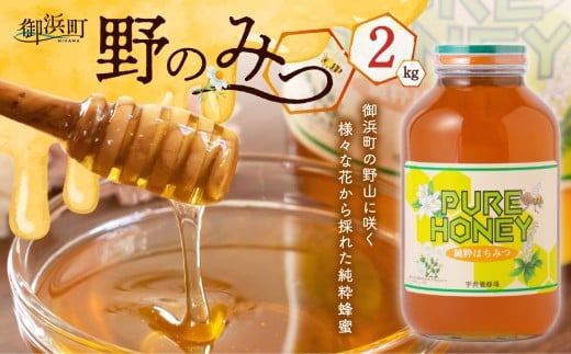 【三重県御浜町】うい養蜂の野のみつ2キロ【蜂蜜 はちみつ 国産 三重県産 純粋はちみつ 百花蜜 人気 ハチミツ うい養蜂 ヨーグルト トースト 三重県 御浜町 免疫力】