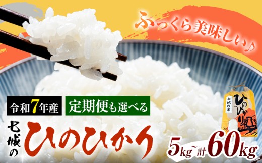 yF{ersz ߘa7NY  Ђ̂Ђ 5kg 10kg ւ LБs90ȓɏoח\(yj)tF{ ers   Ђ̂Ђ uh   3 6