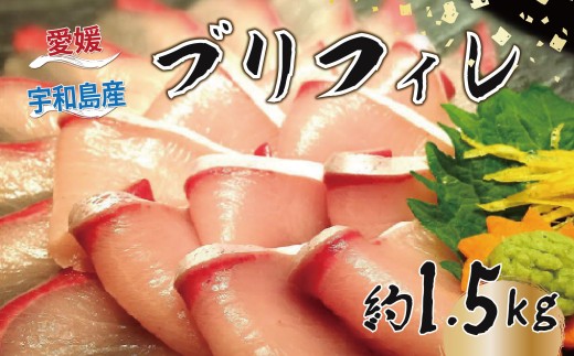 yQFaszu tB 1.5kg L ANAvX uh  Ԃ hg hg hg hg tB[ H  Ԃ  AW ① Yn Y Q F